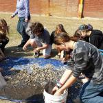 CHSS students learning the tedious process of sorting through the wet sieve residue. 2014