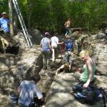 A very busy day of digging.  