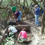 CAS Spring Dig 2012