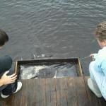 Board Members, Scott Dawson and Charles Williams wet sieving.