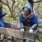 Board Member, Janet Bigney, CAS Volunteers sifting for finds.